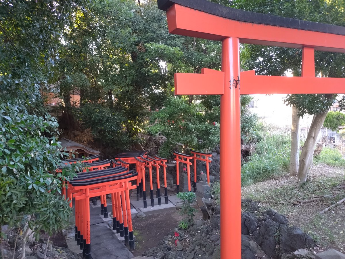 朽枯堂 tweet media