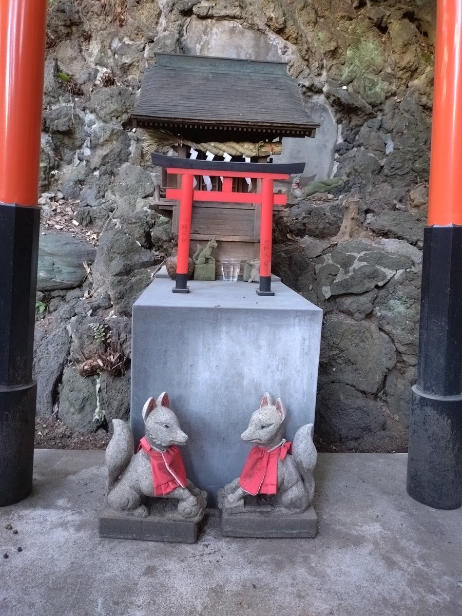 朽枯堂 tweet media