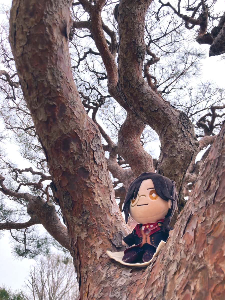 北葉アカネ@にじそ11南2 O-06 tweet media