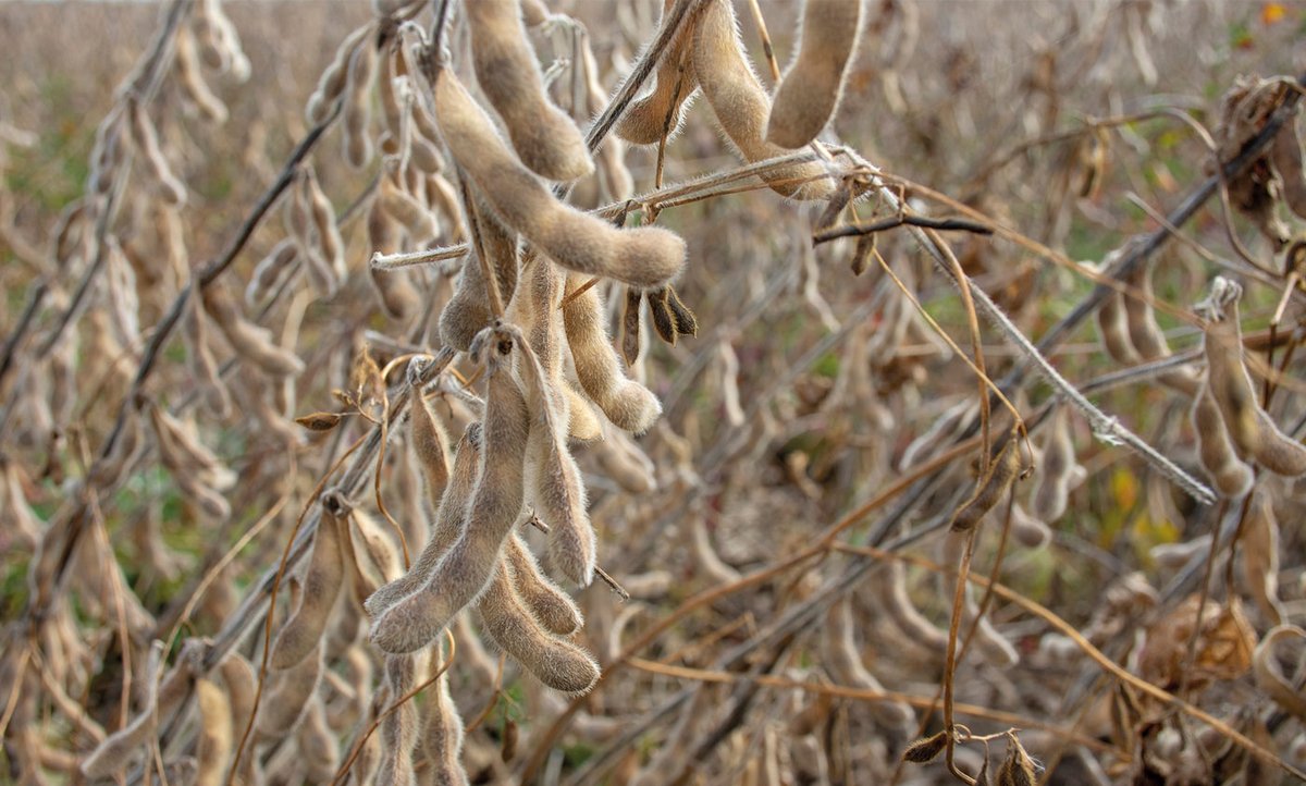 British Free Range Egg Producers Association tweet media