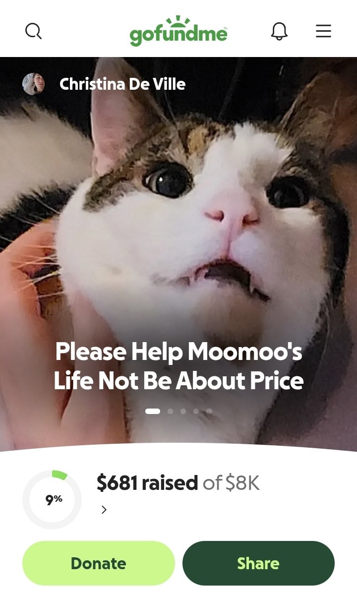 Sheroku's tweet photo. Anyone in #poketwitter knowledgeable enough to help me run a 🧇 for my sick boy Moomoo?
I have some sealed product I'd be willing to part with to help with his vet costs, but I'm at a hotel near his hospital and can't take pictures yet.
Please LMK!
https://t.co/6fW4zyc3N4 https://t.co/Mj8IYr7Guz