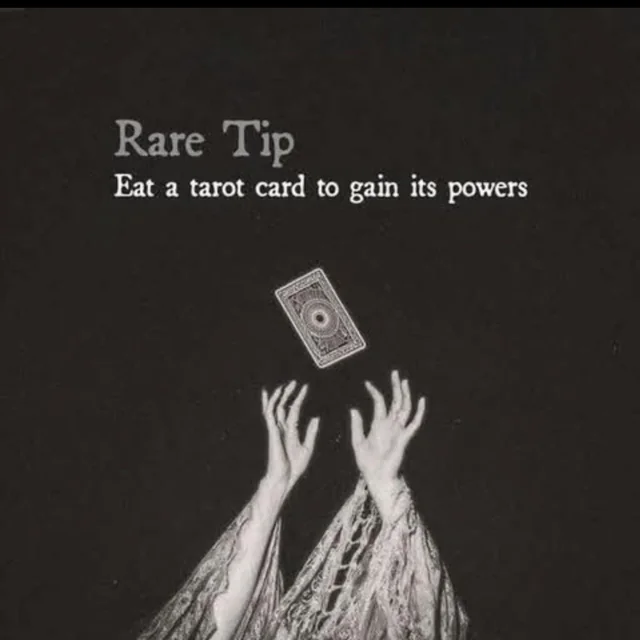 Mi-tan | Witch Vtuber 🃏🔮✨🪻 tweet media