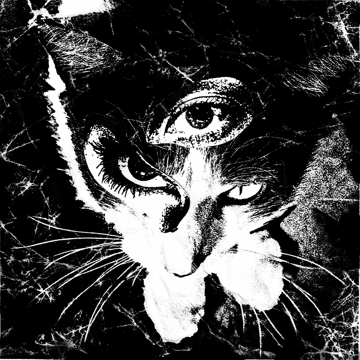 音楽ナタリー tweet media