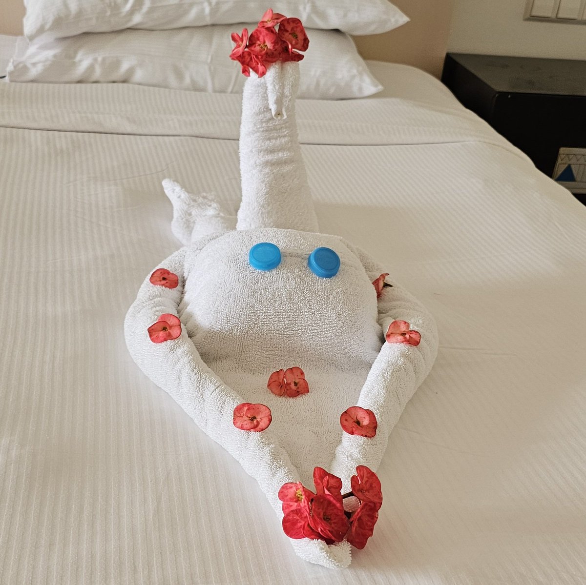 Kaiserschmarrn tweet media