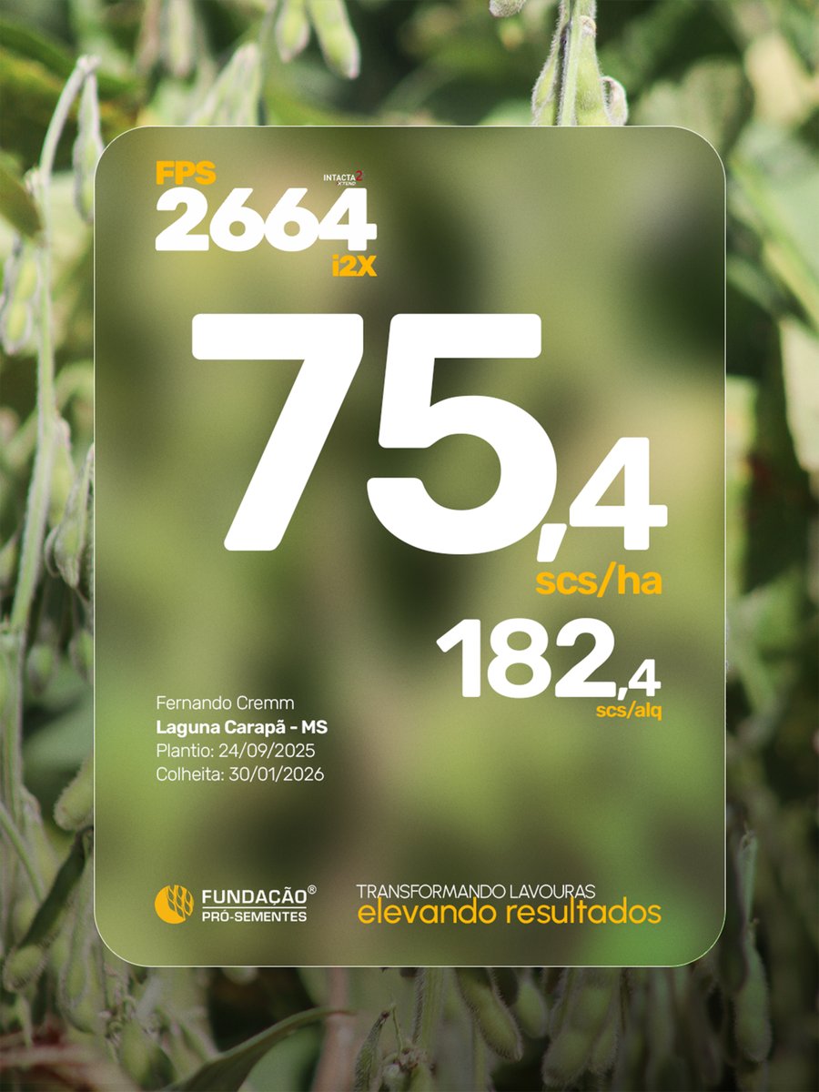 fundacaops's tweet photo. FPS 2664 i2X - Impressiona no visual e se destaca na produtividade!

Resultado que comprova o potencial da cultivar em produtividade!

Saiba mais no folder digital: https://t.co/Q1YvlB5zjJ (link na bio)
Fone/Whats Licenciamento FPS: (54) 99226-0096 https://t.co/FyZ73ZQyhD