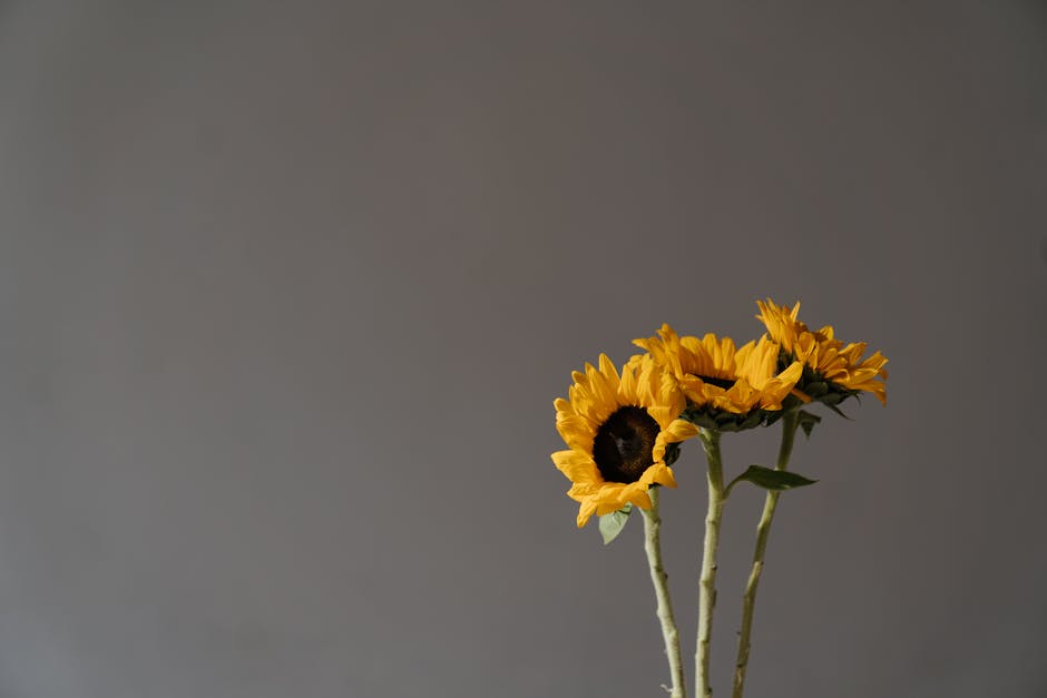 ร้านบุหรี่ไฟฟ้าส่งด่วน No.1 tweet media