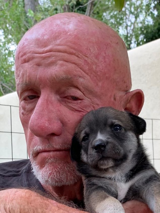 Saul Goodman ⚖ tweet media