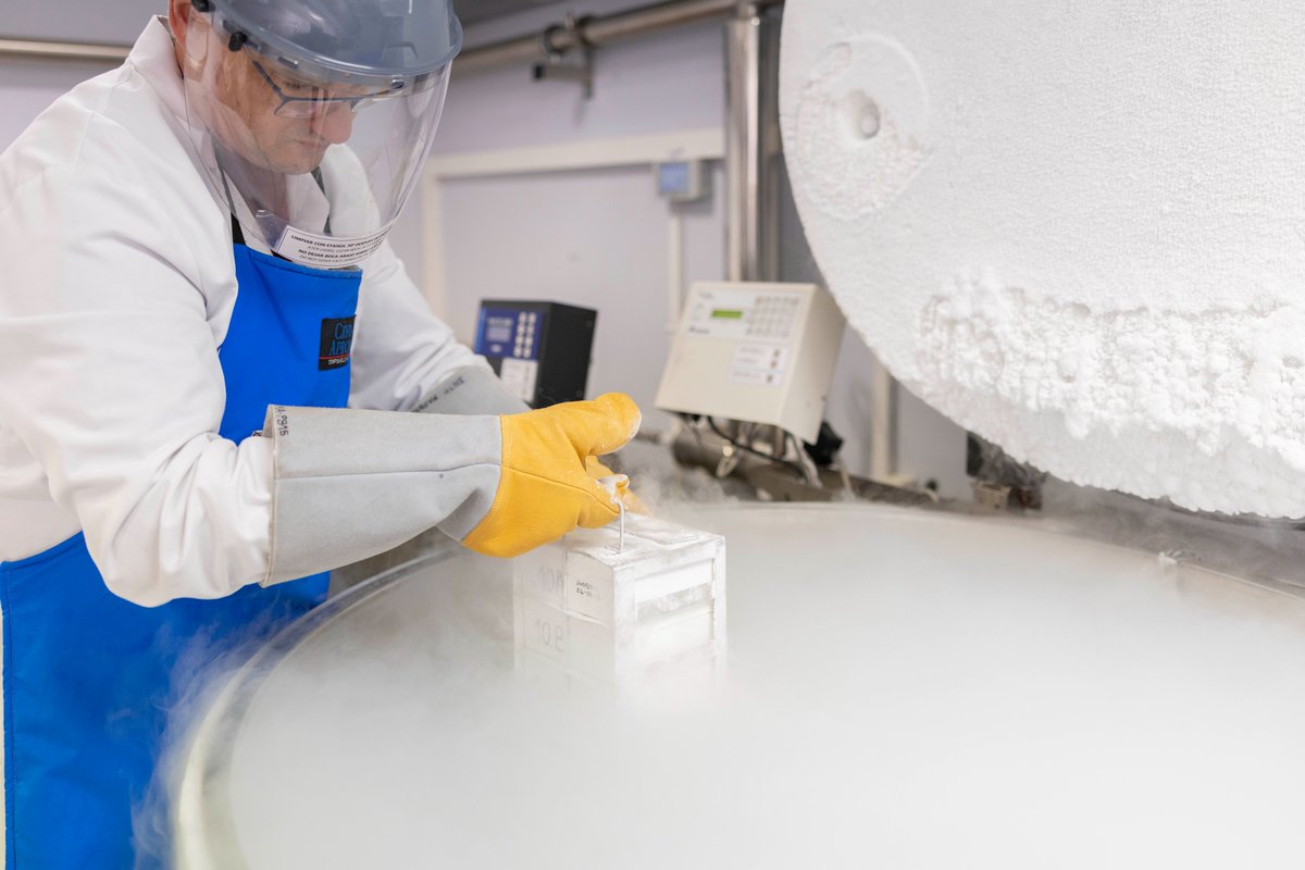 GTRecerca's tweet photo. 🔵 Les plataformes cientificotècniques de l'IGTP donen accés als investigadors a tecnologia avançada i centralitzen recursos

🔬 Donen servei a equips del #CampusCanRuti però també a externs públics i privats

Coneix-les: https://t.co/AFQ2D8B6BD
Som @iCERCA #CERCAGINYS https://t.co/Swmh6hXzty