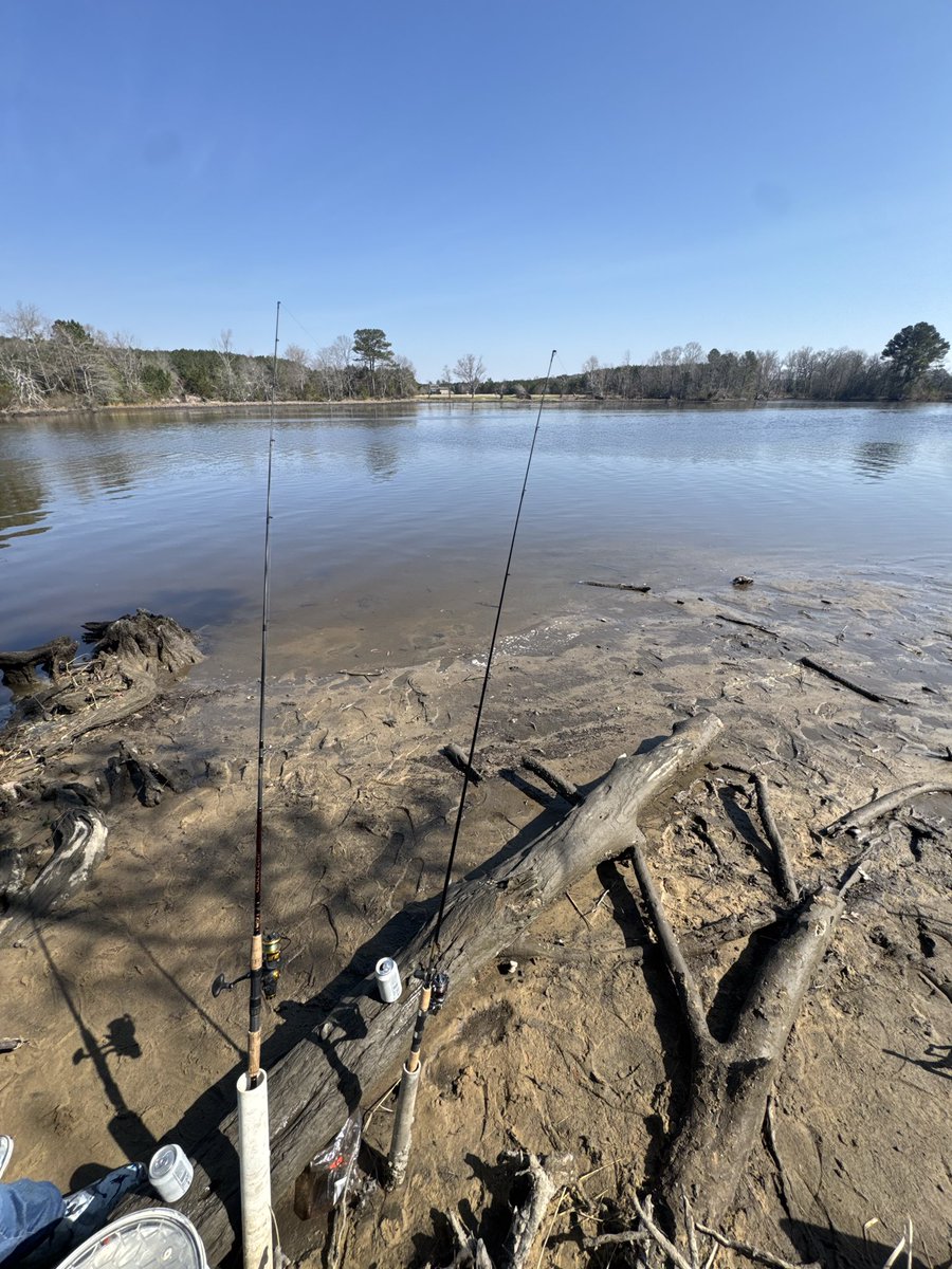 Chow Wong tweet media