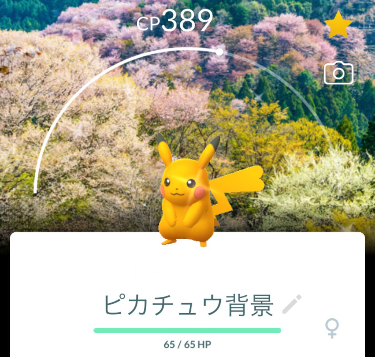 monoribbon's tweet photo. 奈良京都の旅🐱
本当はこの吉野の桜を見たかったけどさすがに早すぎ&amp;上まで頑張れる気しなくて断念💦
気づいたらぽけふためぐってた☺️
奈良・京都ピカチュウ色違い出てびっくり🙄🙄
他の背景も欲しいな🥺
次は町田と横浜かな https://t.co/cZARlOBNnK