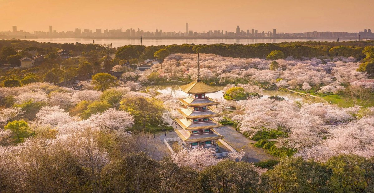 Dawn Renner tweet media