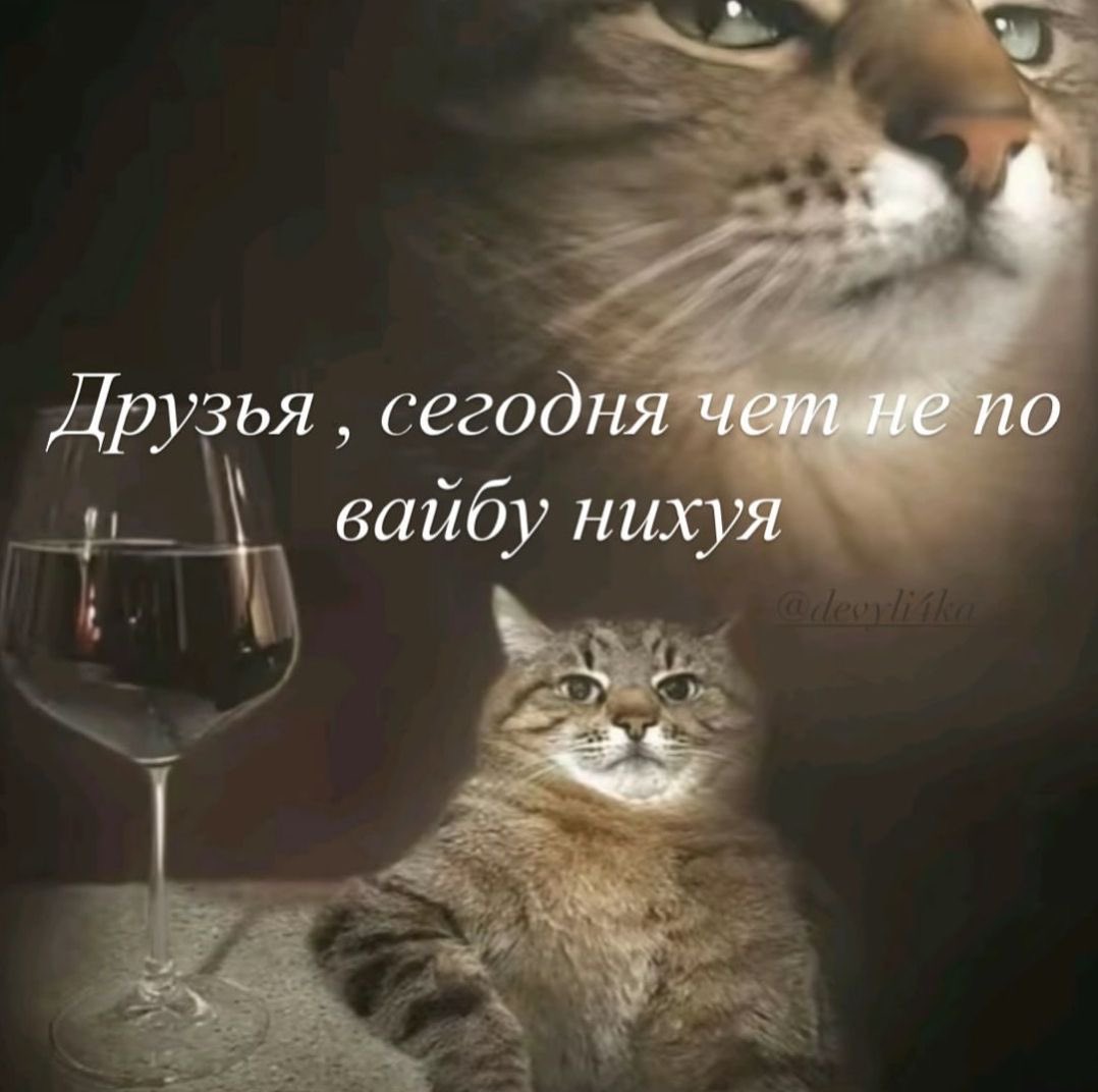 чето я блять не в настроении сегодня работать. люди задают какие-то дебильные вопросы. короче всё заебало, я на максимально нерабочем вайбе. пойду позвоню подружке, которая сегодня тоже в смене, и сгоняю в кофейню в соседнем доме. так сказать развеюсь прогуляюсь