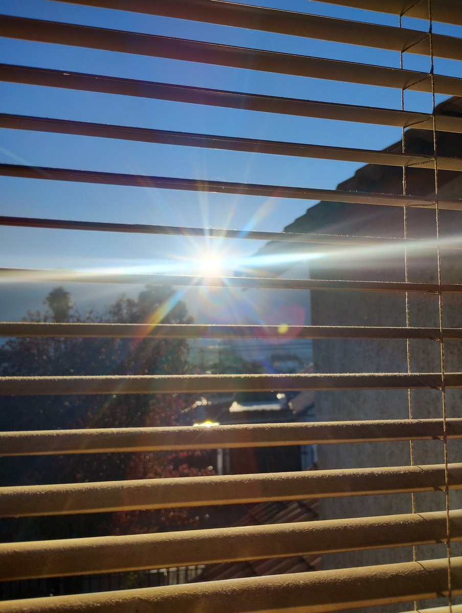 Mario Rocco Marchant🔴❤️ tweet media