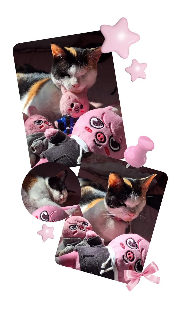 ₊˚ yna ˚₊ ᵈᵒ ᶦᵗ VAI VER O SKZ NO RIR tweet media