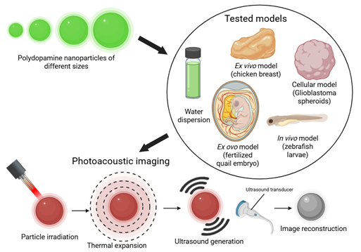Gianni Ciofani tweet media