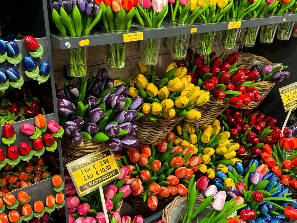 주디 judy tweet media