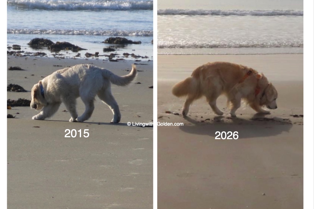 Chuck Billy & Asa tweet media