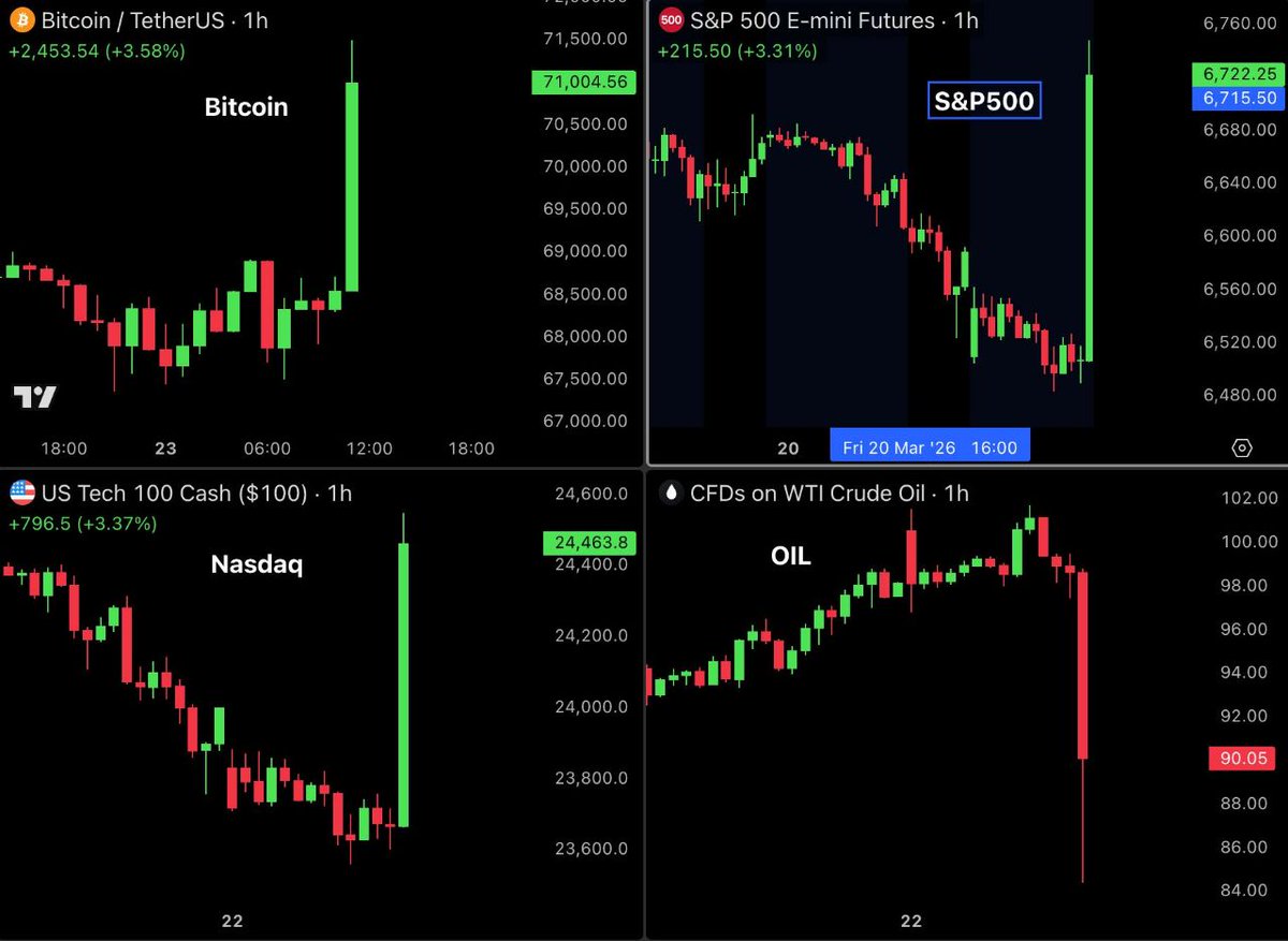 Bull Theory tweet media