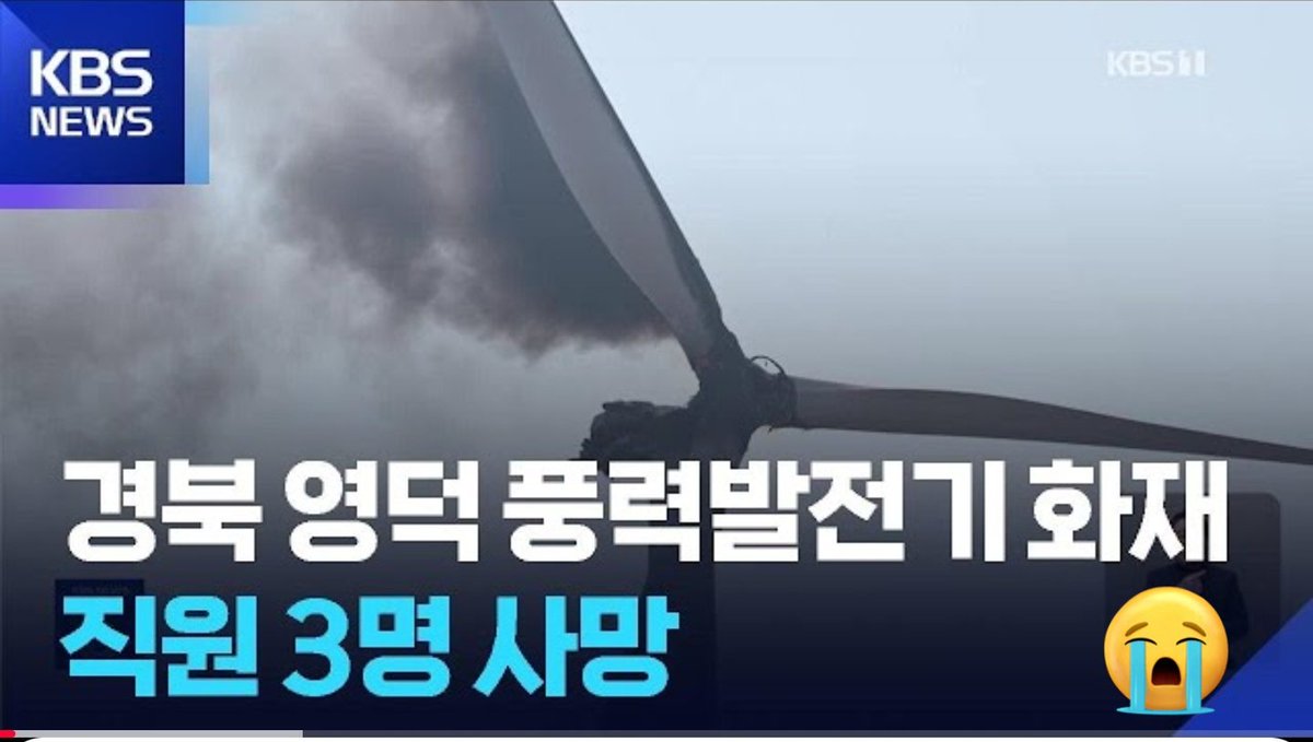 알랑가몰라🐾 tweet media