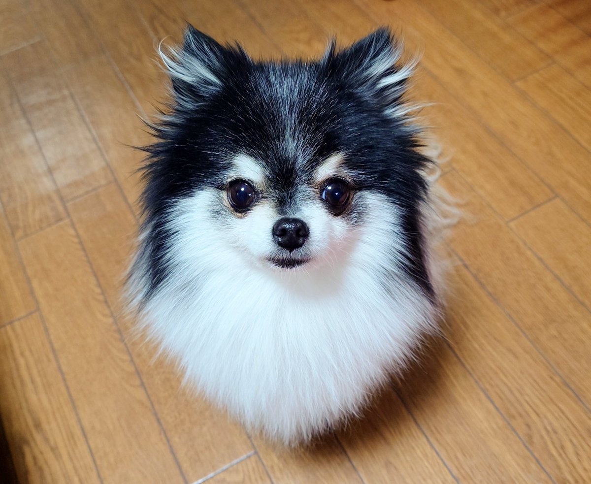 comatema tweet media