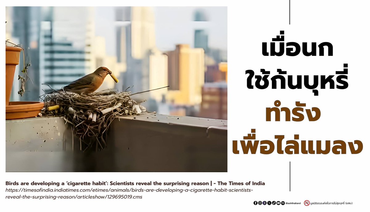 Prakit Vathesatogkit tweet media