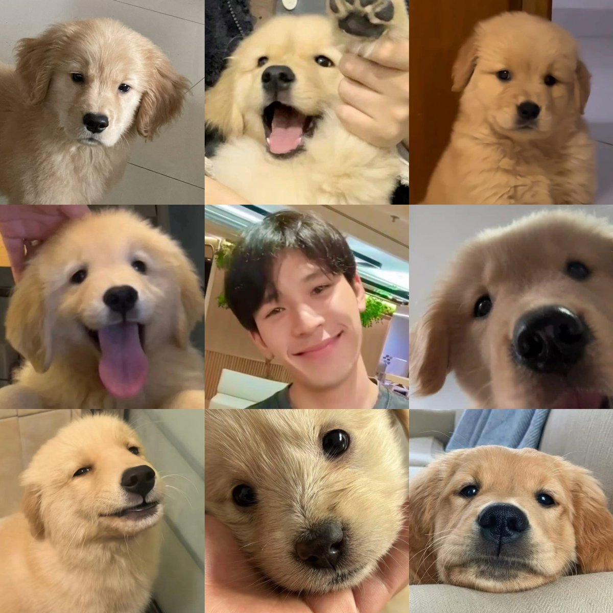 him 💌 tweet media