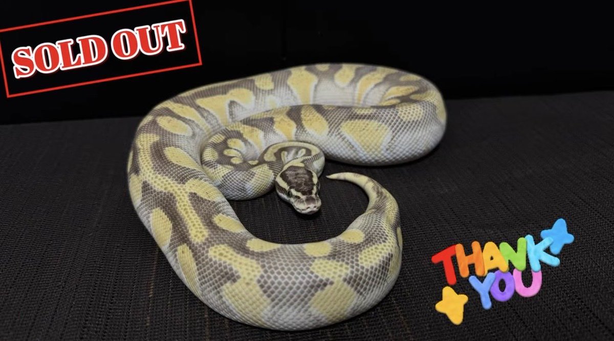 H2M Reptiles tweet media