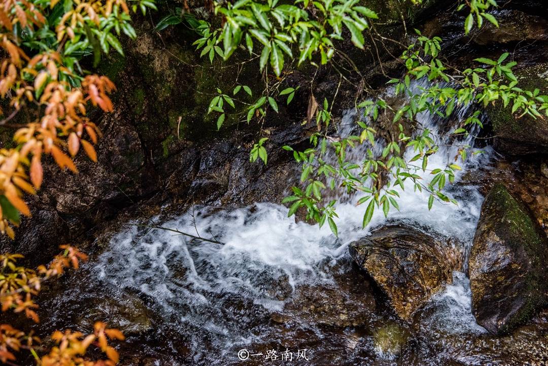 Jessica Kirksey tweet media