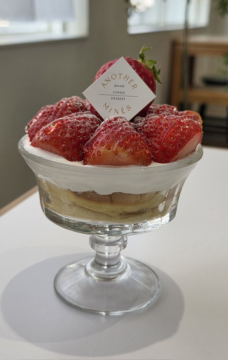 아틱(약과)🔜Furstclass tweet media