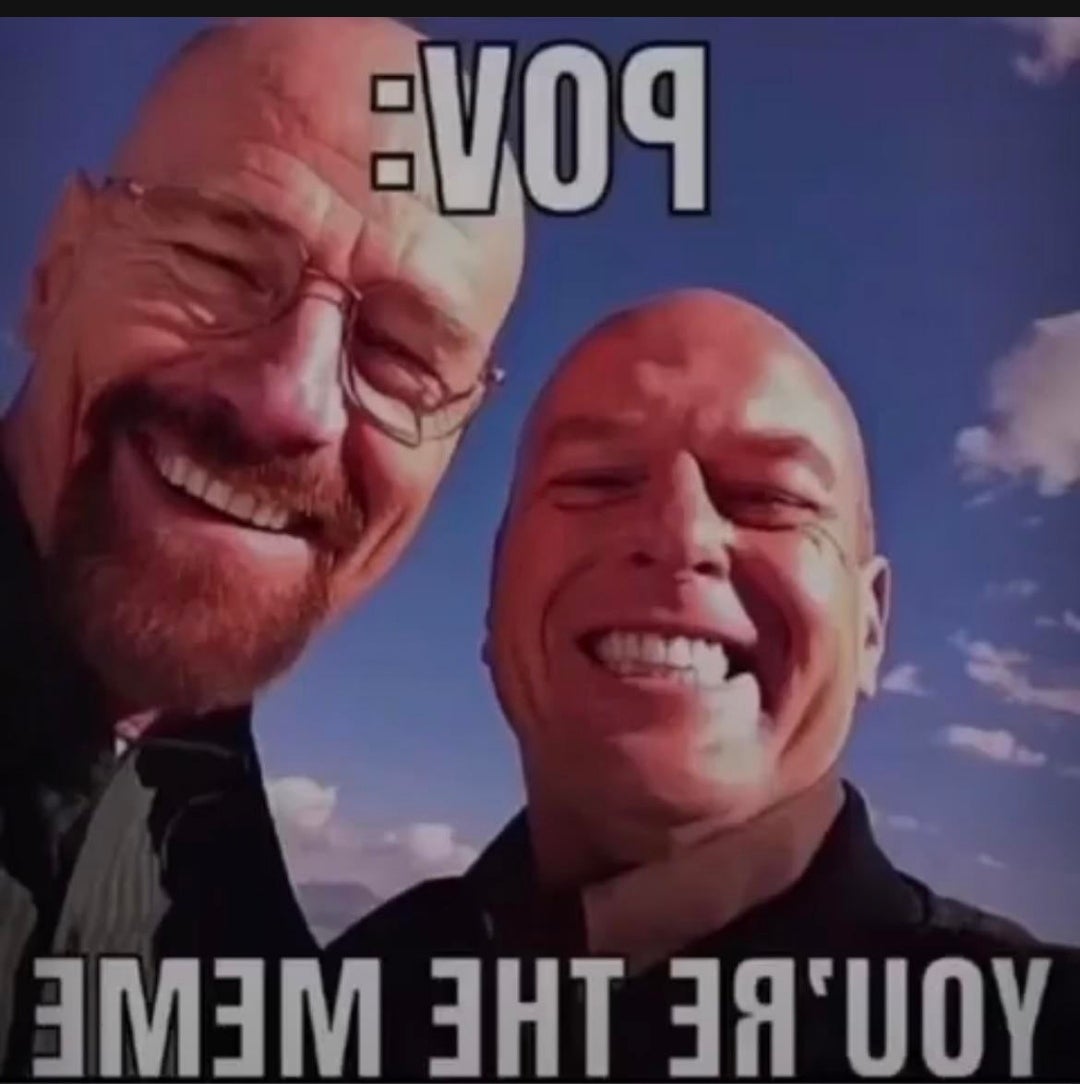 ✋🙋♂️👀 tweet media