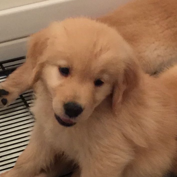 k𝒽wa𝓷 𓍼ོ tweet media