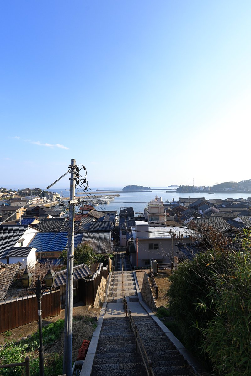 だーいし。 tweet media