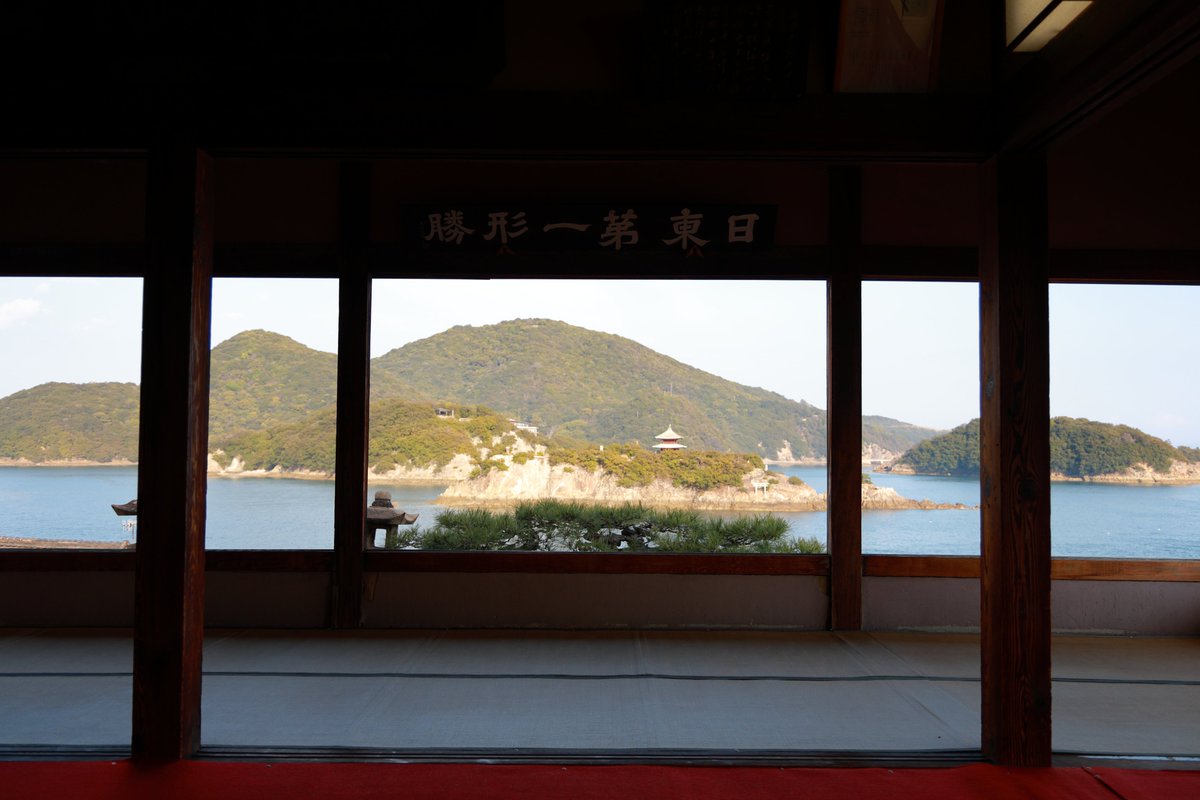 だーいし。 tweet media