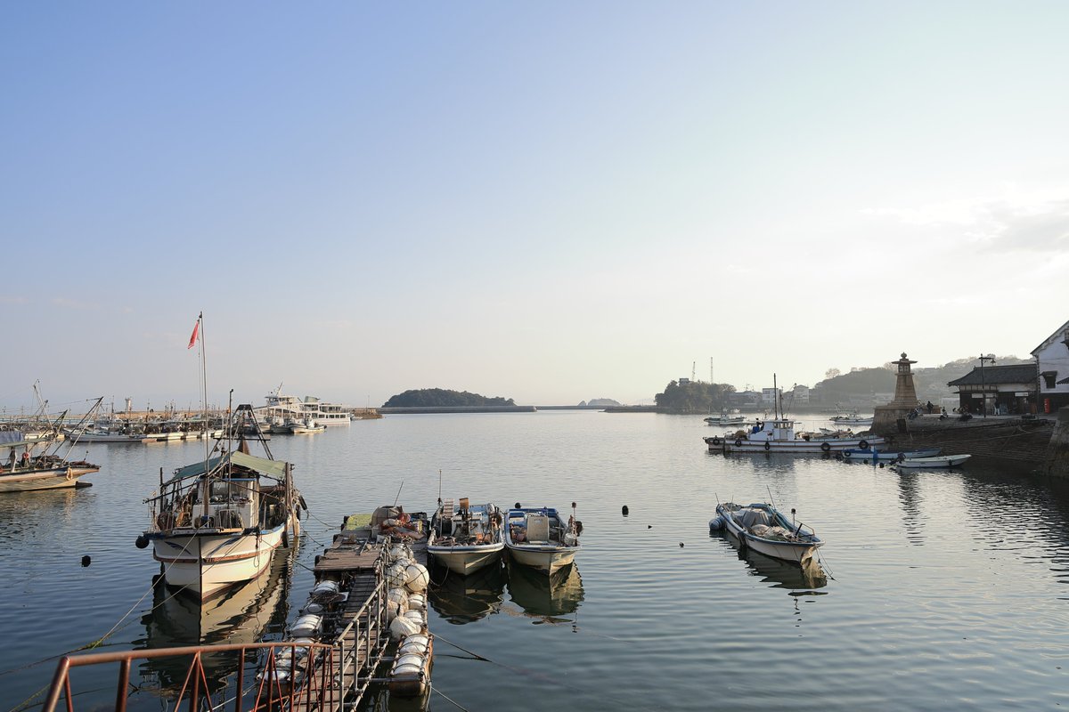 だーいし。 tweet media