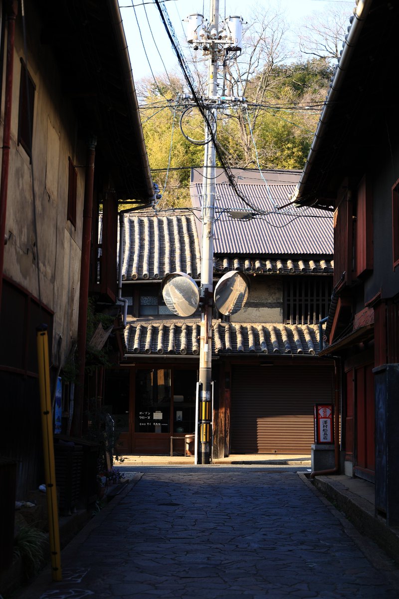 だーいし。 tweet media