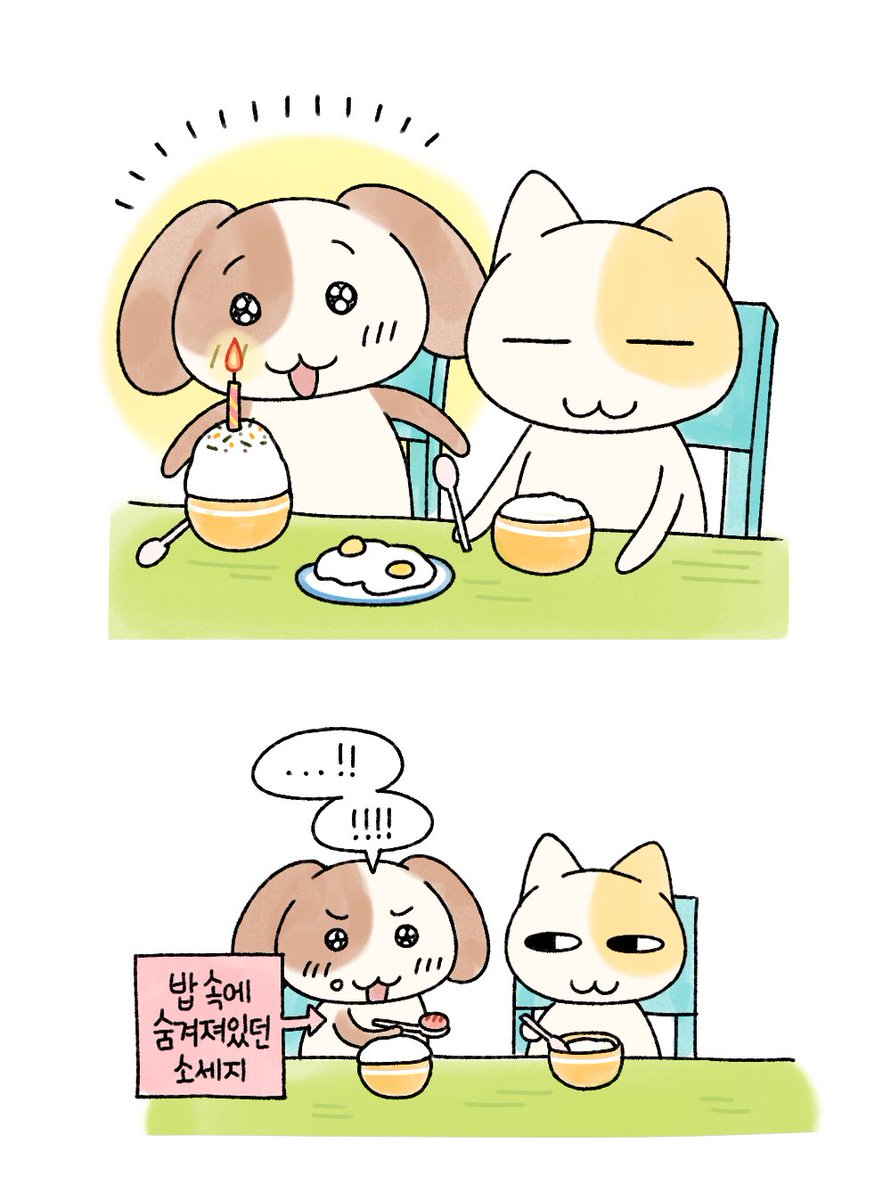 묘냥이와 멍구 tweet media