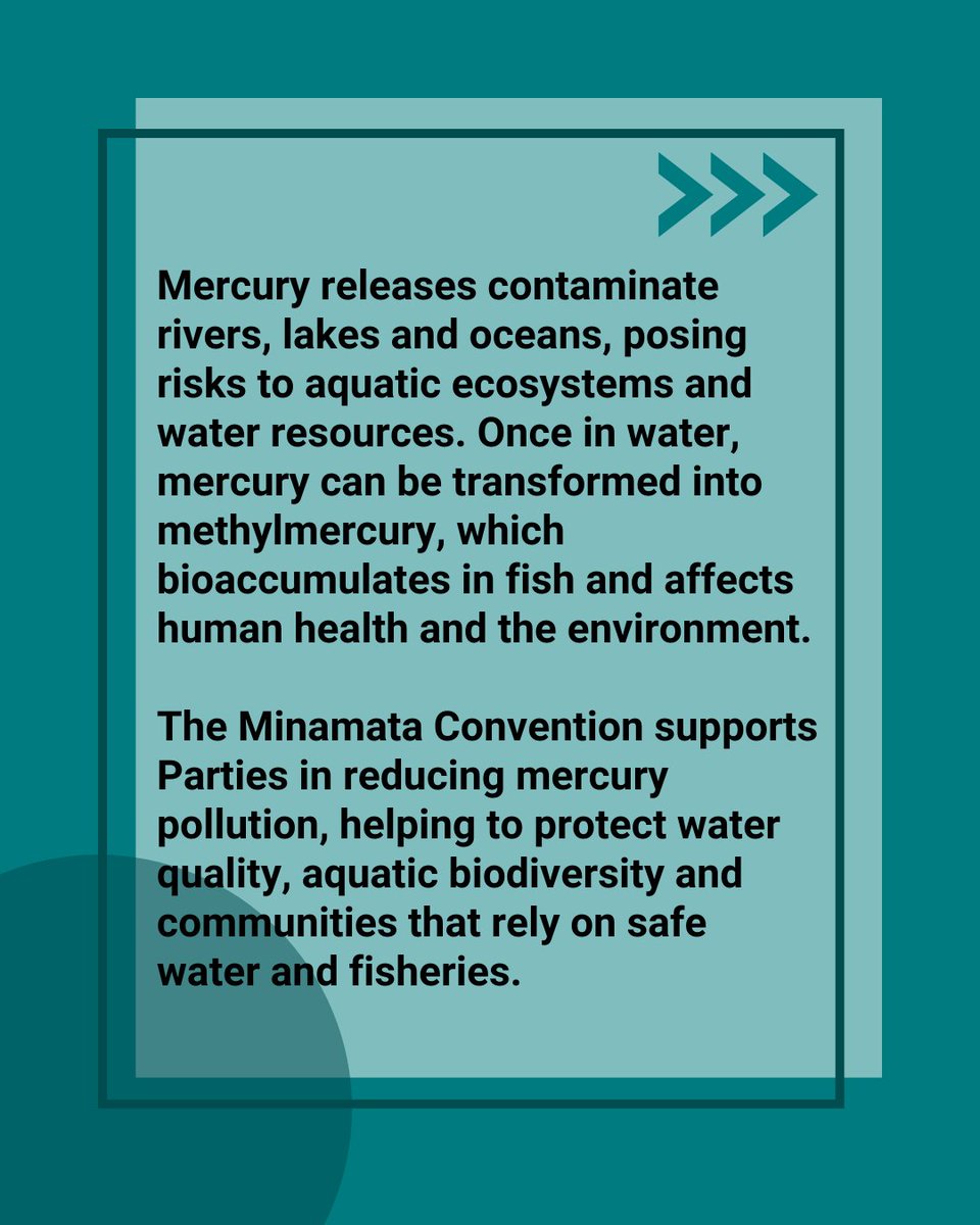 minamataMEA's tweet image. Yesterday was #WorldOceansDay: #mercury releases pose risks to aquatic ecosystems &amp;amp; water resources.

#MinamataConvention Parties work in reducing mercury pollution, protecting #environment &amp;amp; communities that rely on safe water &amp;amp; fisheries.

Learn more: bit.ly/MCmercuryrelea…