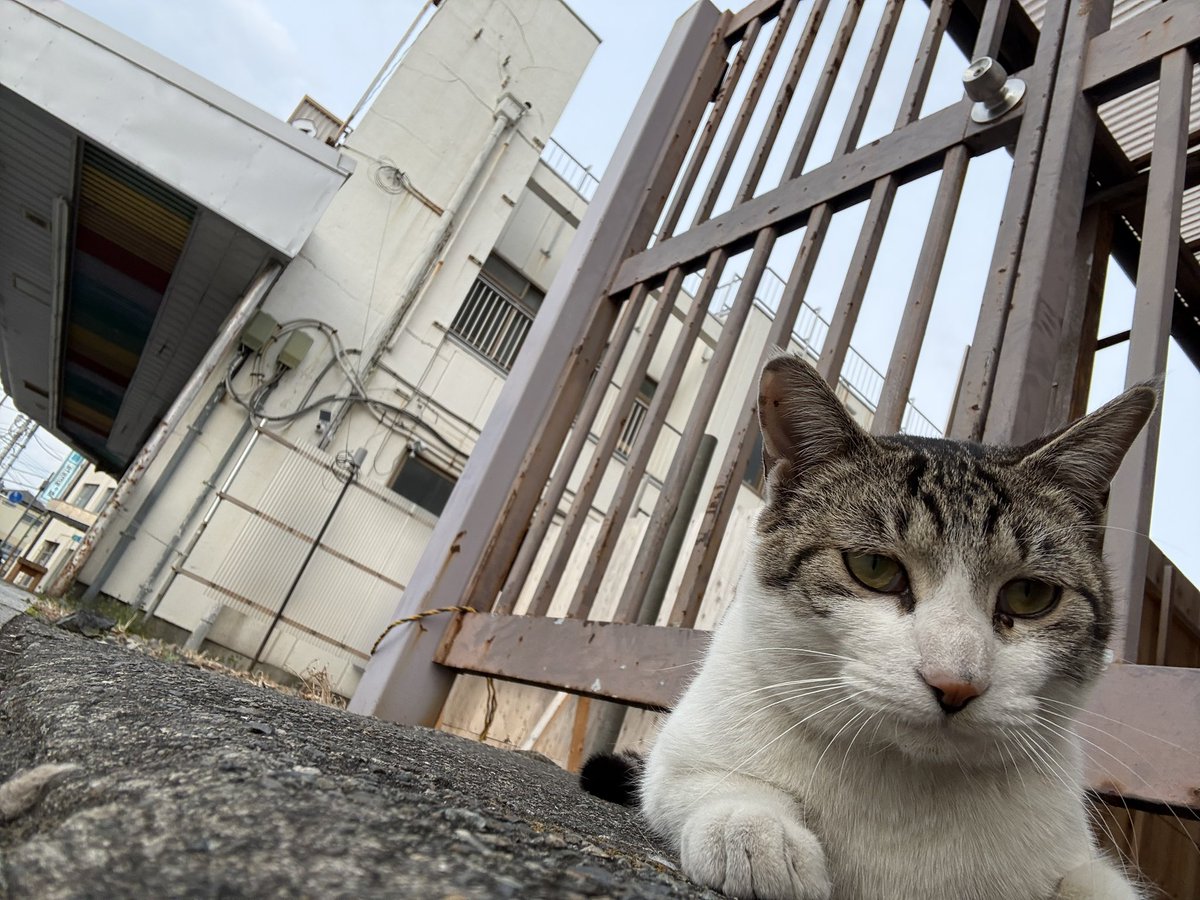 🪬NOSHiRO🪬 tweet media