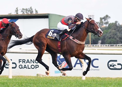 Hipismo.Net tweet media