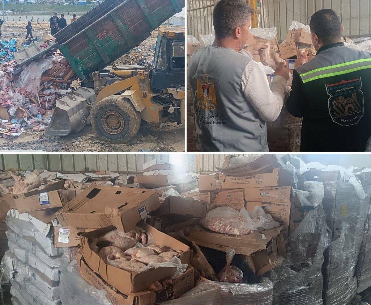 Sameh Ahmed 𓂆 🇵🇸 tweet media