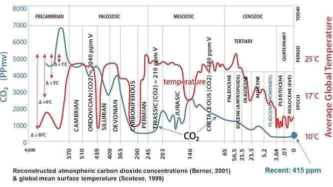 Leigh Hammond tweet media