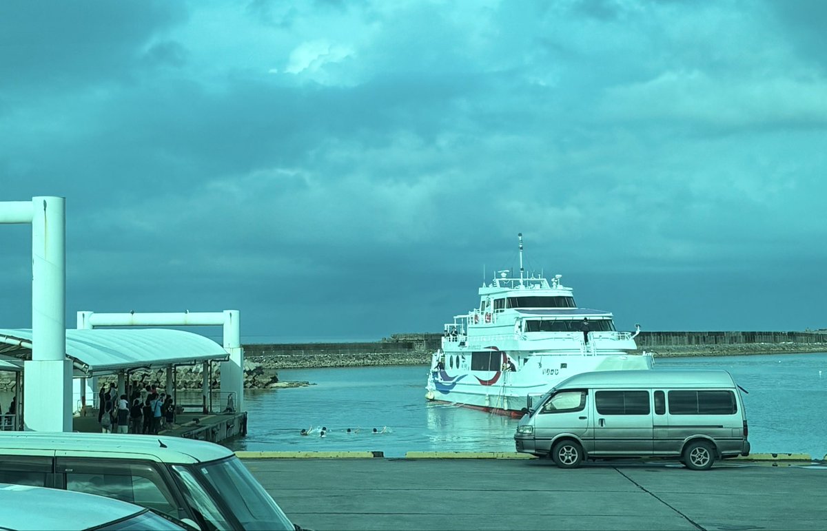 いのうえ@西表 tweet media