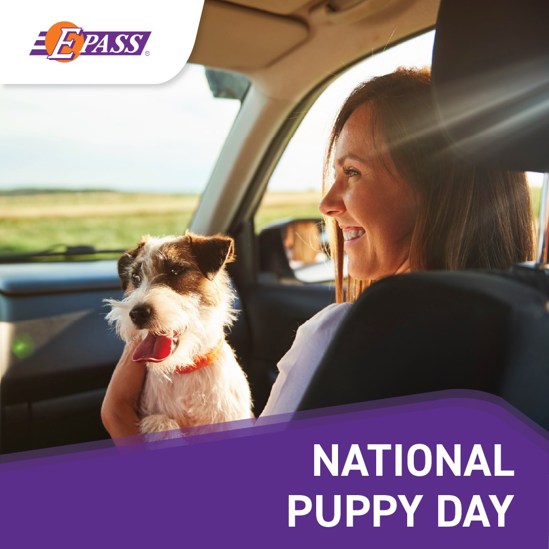 Drive E-PASS tweet media