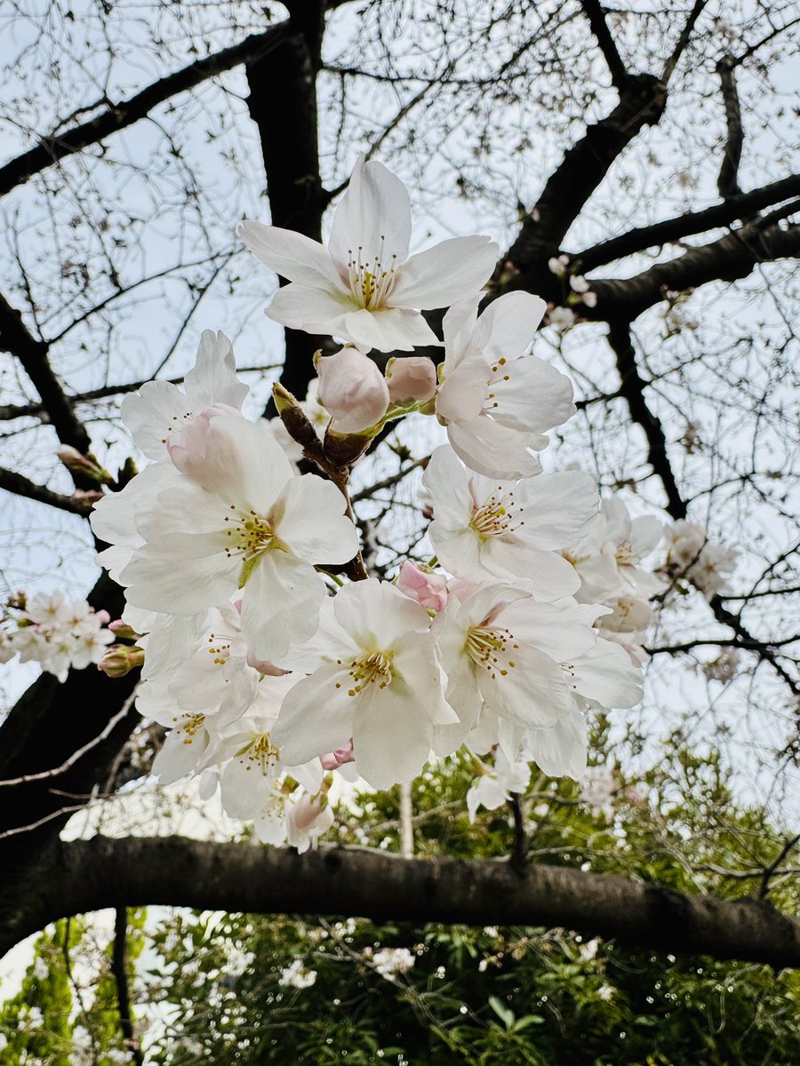 浅倉大介 tweet media