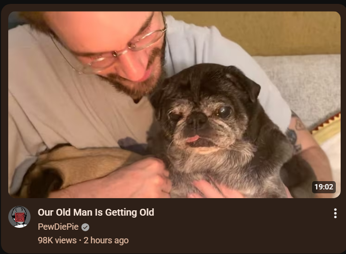 Ayanari💙😈 tweet media