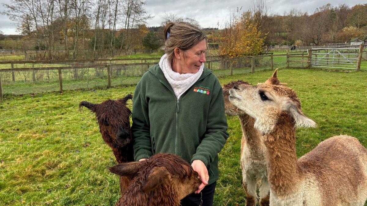 Tim Nash tweet media