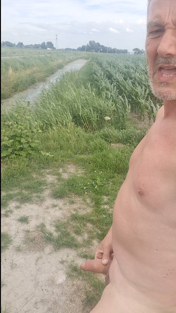 importfries tweet media