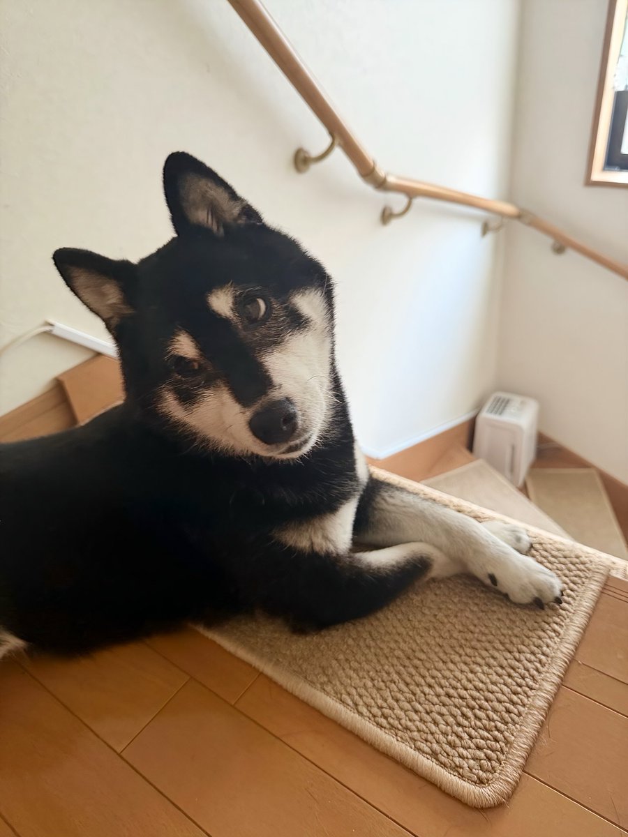 かぼすママ tweet media