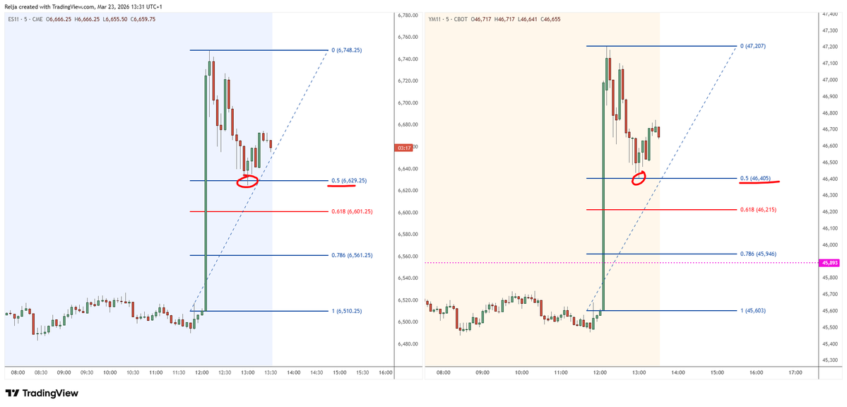 StrayDog tweet media