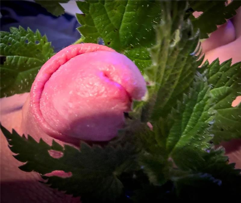 importfries tweet media